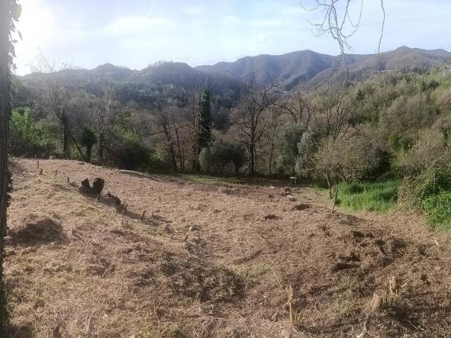 Terreno in vendita a Quiliano, Liguria
