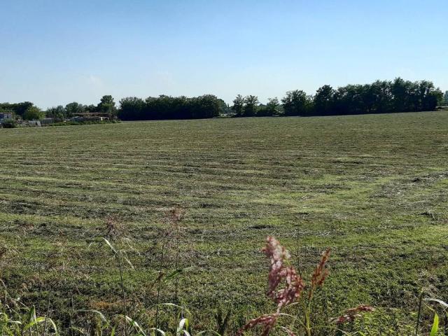 Terreno in vendita a Quistello, Lombardia