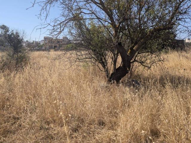 Terreno in vendita a Puglia, Lecce