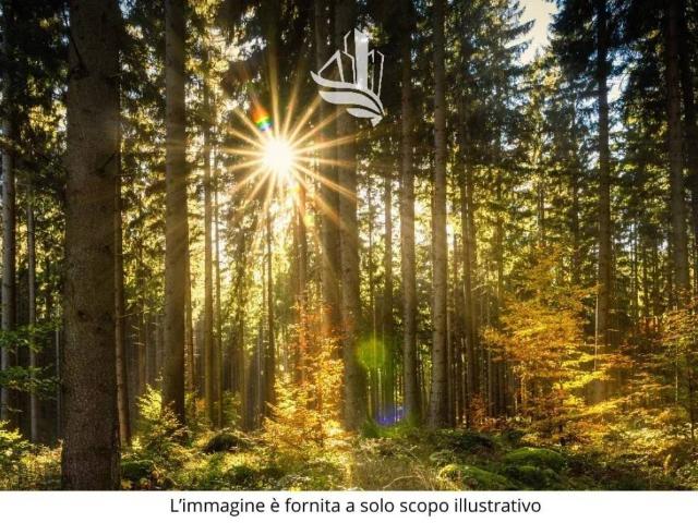 Terreno in vendita a Wipptal - Alta Vall'Isarco, Racines - Ratschings
