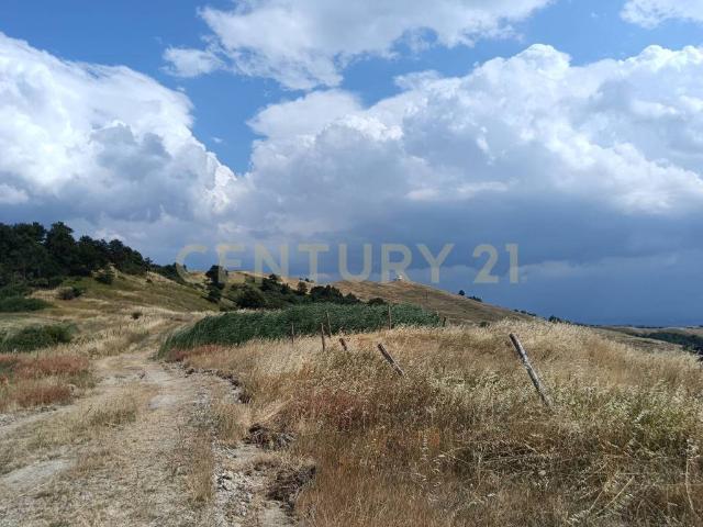 Terreno in vendita a Radicofani, Toscana