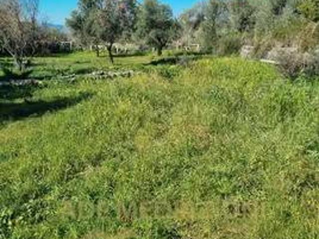 Terreno in vendita a Cisterna, Ragalna