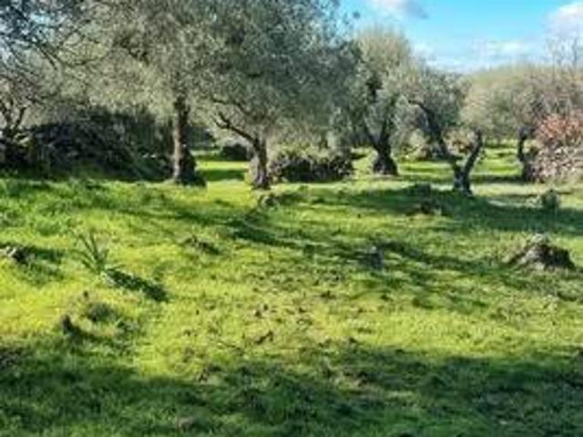 Terreno in vendita a Cisterna, Ragalna