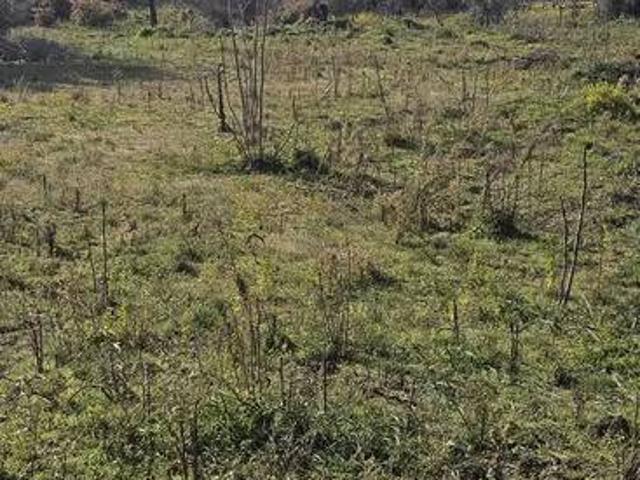 Terreno in vendita a Cisterna, Ragalna
