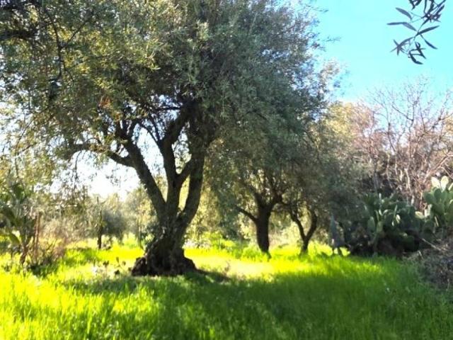 Terreno in vendita a Ragalna, Sicilia