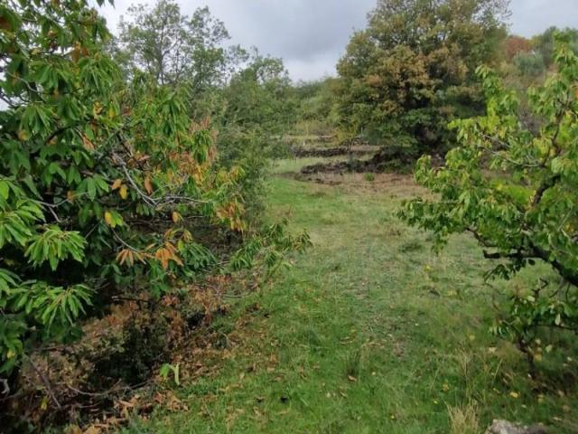 Terreno in vendita a Ragalna, Sicilia