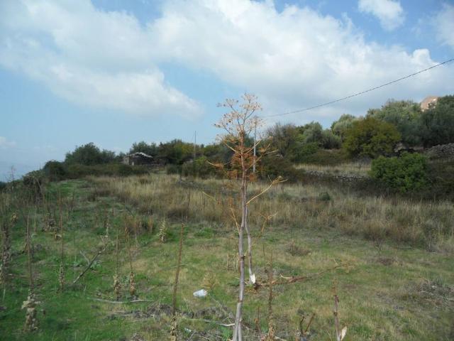 Terreno in vendita a Santa Barbara, Ragalna