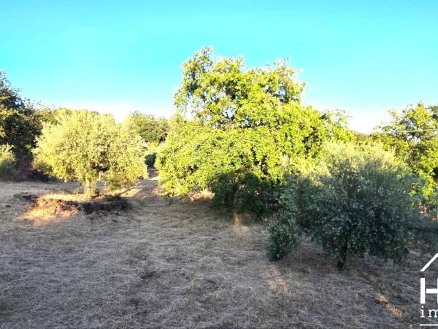Terreno in vendita a Rocca, Ragalna