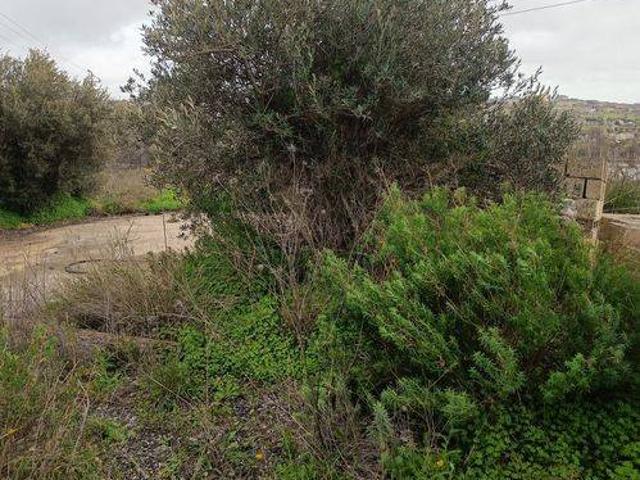 Terreno in vendita a Ragusa, Sicilia