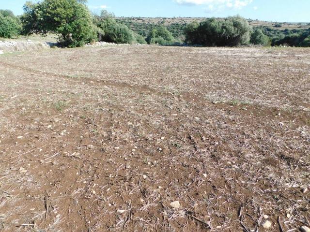 Terreno in vendita a Ragusa, Sicilia