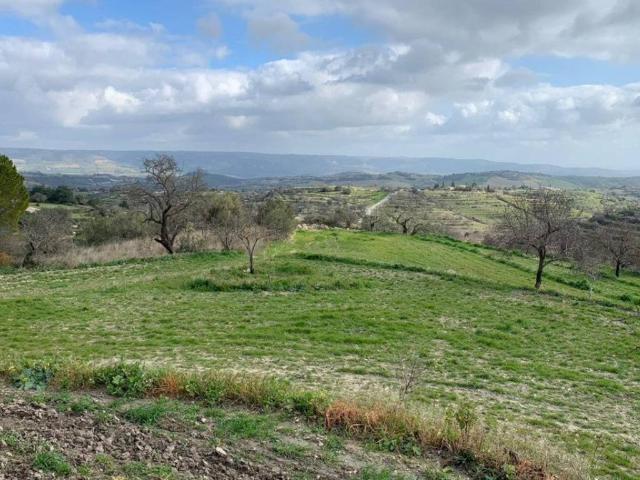 Terreno in vendita a Ragusa, Sicilia