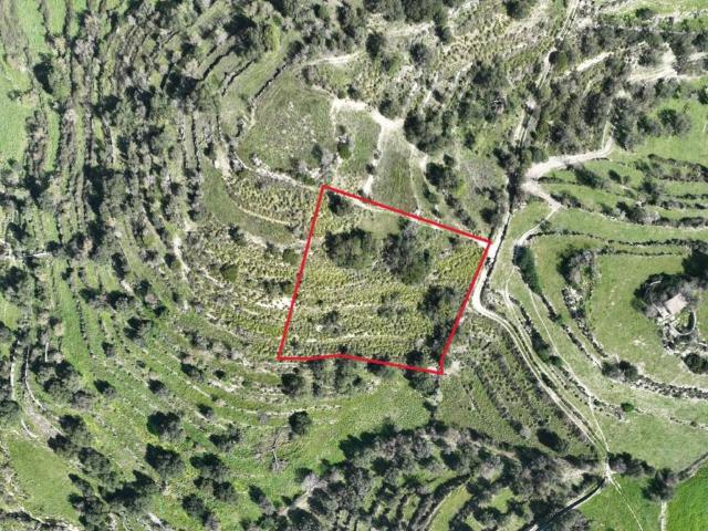 Terreno in vendita a Ragusa, Sicilia