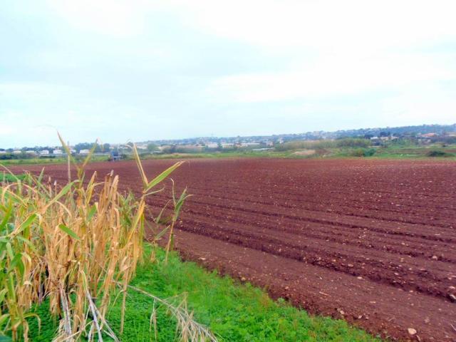 Terreno in vendita a Ragusa, Sicilia