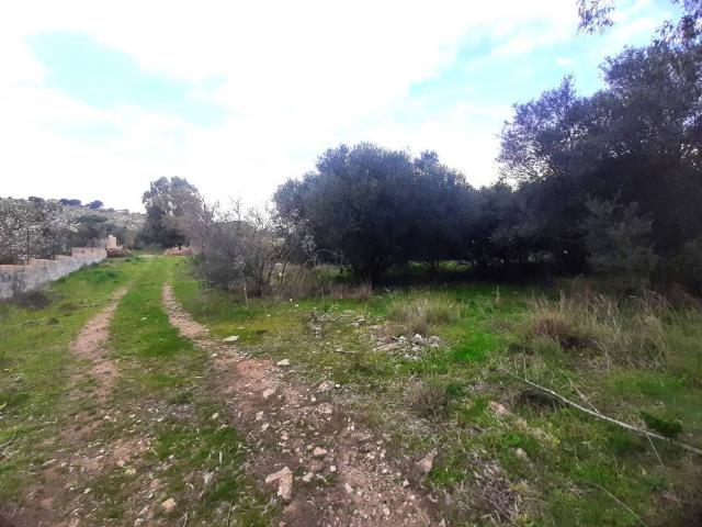 Terreno in vendita a Ragusa, Sicilia