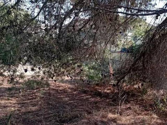 Terreno in vendita a Ragusa, Sicilia