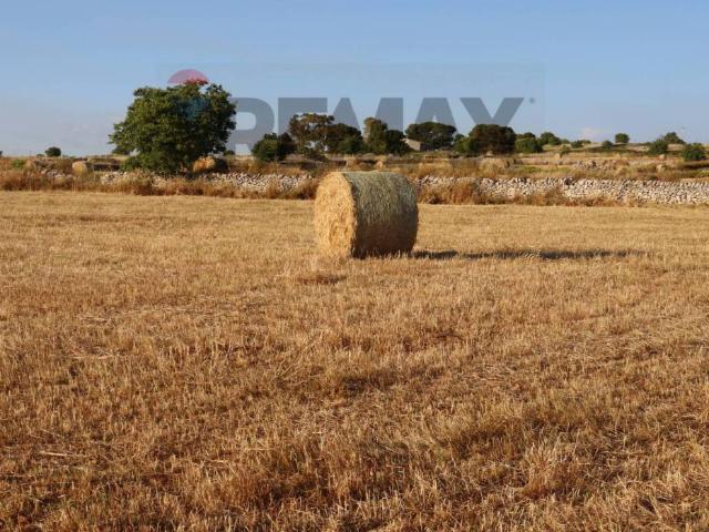 Terreno in vendita a Ragusa, Sicilia