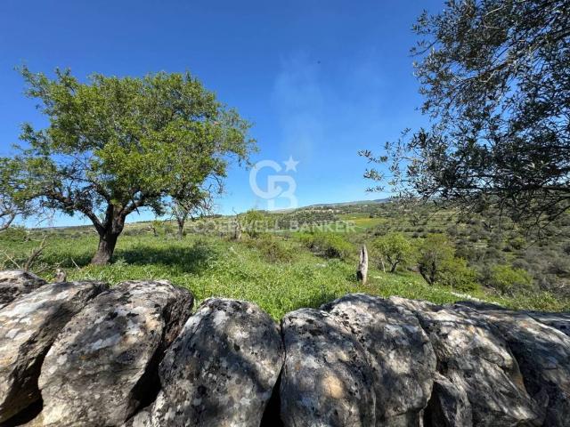 Terreno in vendita a Ragusa, Sicilia