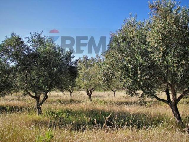 Terreno in vendita a Ramacca, Sicilia