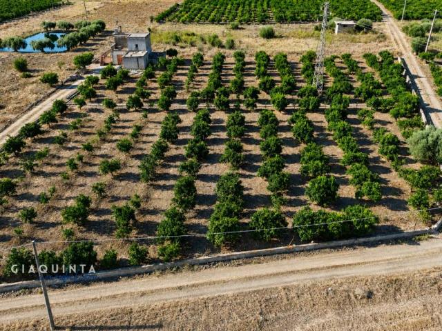 Terreno in vendita a Ramacca, Sicilia