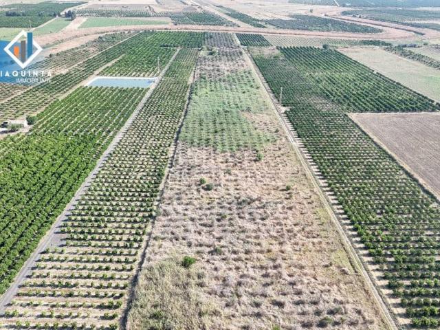 Terreno in vendita a Palagonia, Sicilia