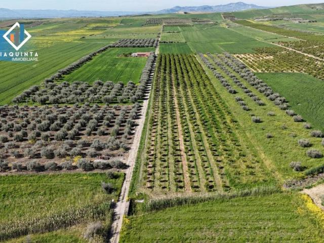 Terreno in vendita a Ramacca, Sicilia