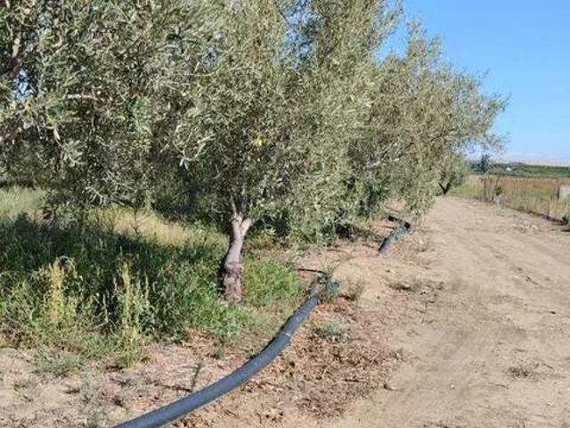 Terreno in vendita a Ramacca, Catania