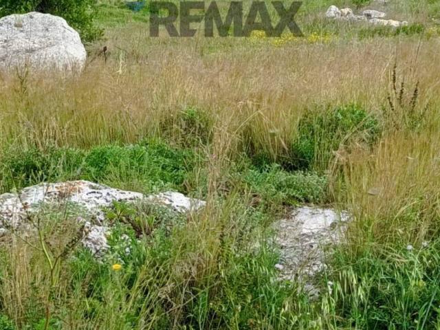 Terreno in vendita a Ramacca, Sicilia