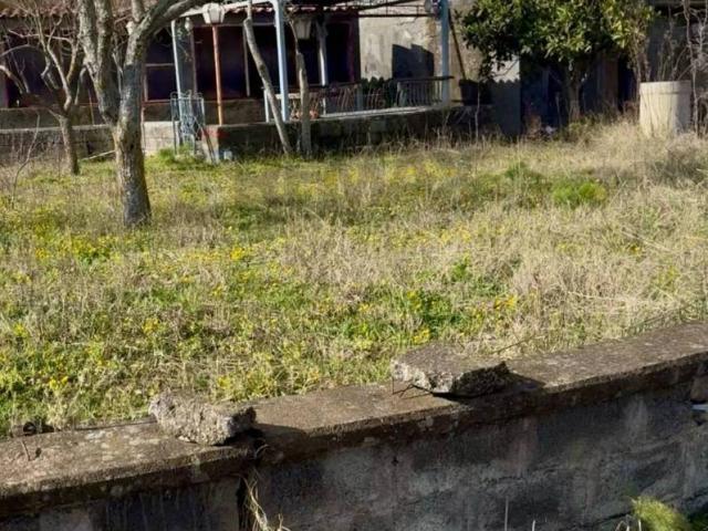 Terreno in vendita a Randazzo, Catania