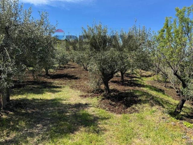 Terreno in vendita a Randazzo, Sicilia