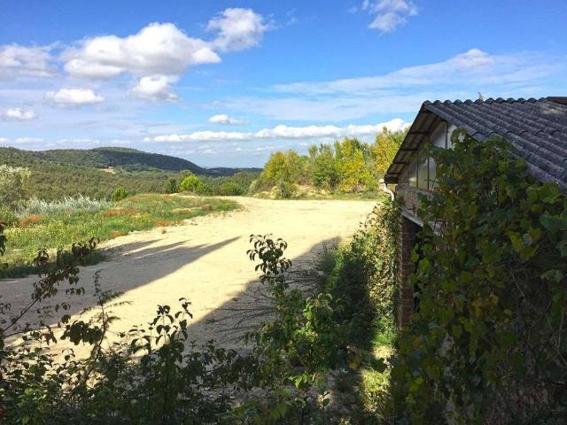 Terreno in vendita a Asciano, Siena