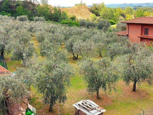 Terreno in vendita a Rapolano Terme, Toscana