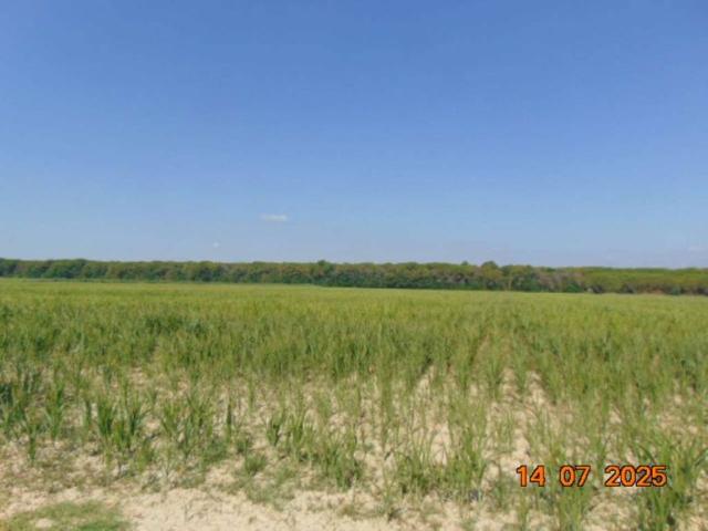 Terreno in vendita a Casalborsetti, Ravenna