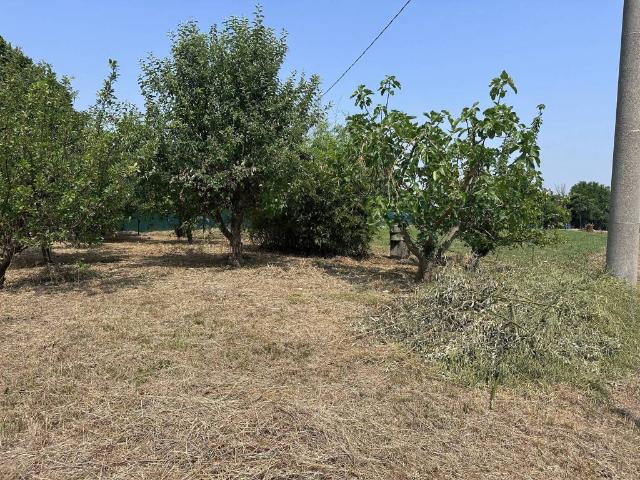 Terreno in vendita a Poggi Rubicone, Ravenna