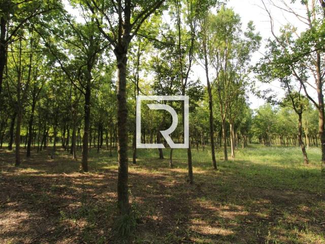 Terreno in vendita a Ponte Nuovo, Ravenna