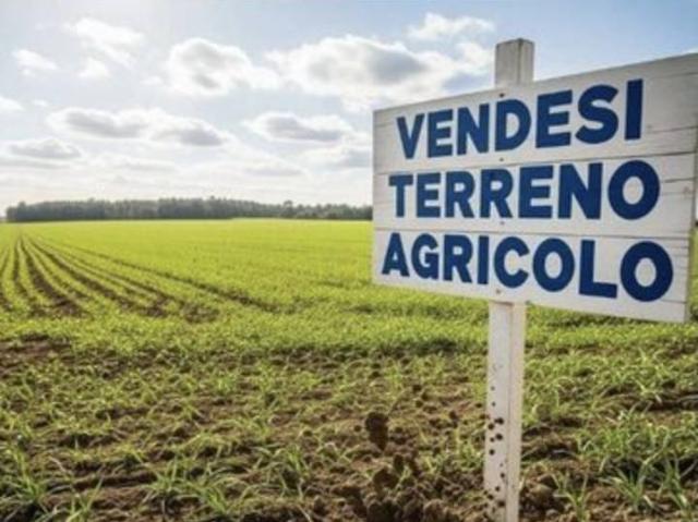 Terreno in vendita a Ravenna, Reggio Emilia