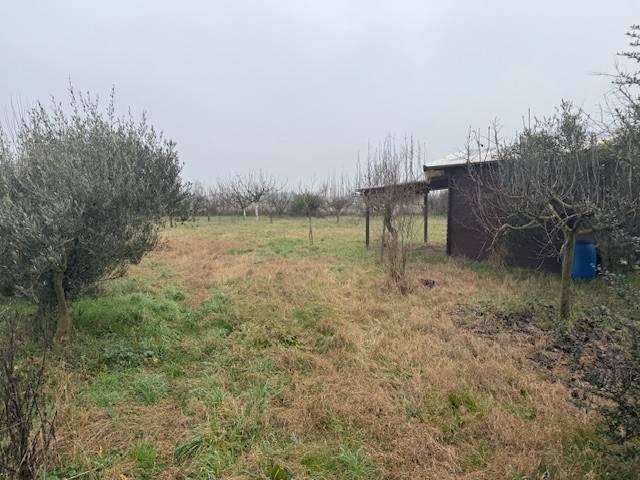 Terreno in vendita a Ravenna, Reggio Emilia
