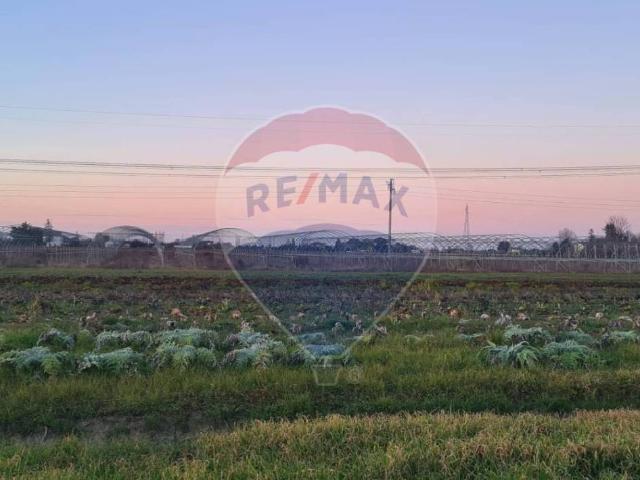 Terreno in vendita a Ravenna