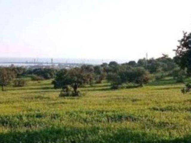 Terreno in vendita a Ravenna, Reggio Emilia