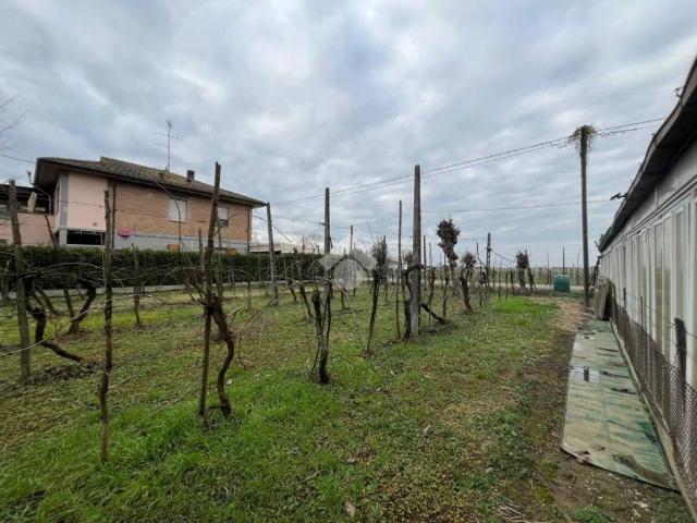Terreno in vendita a Santo Stefano, Ravenna