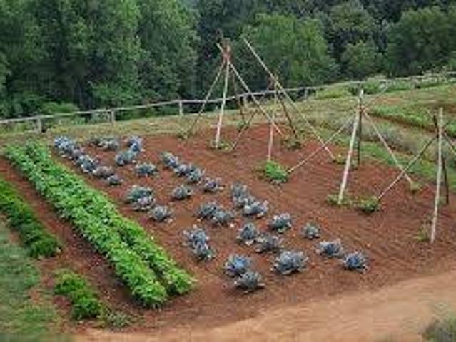 Terreno in vendita a Poggi Rubicone, Ravenna