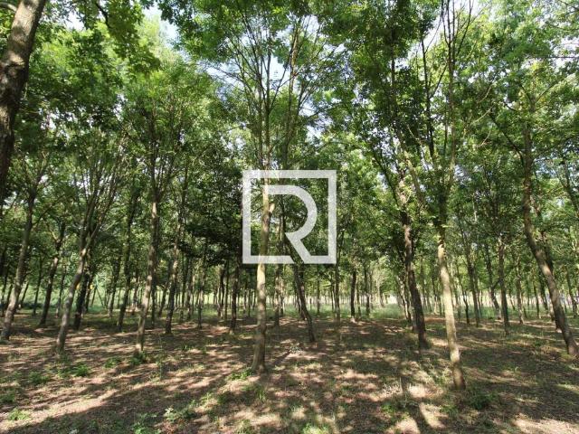 Terreno in vendita a Ponte Nuovo, Ravenna