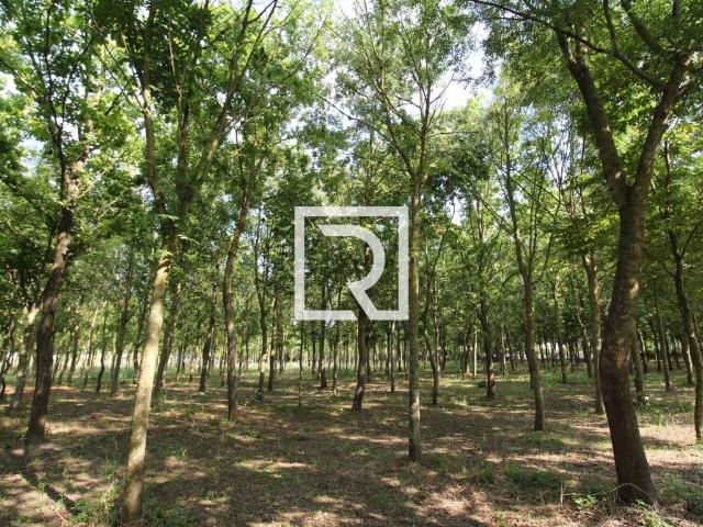 Terreno in vendita a Ponte Nuovo, Ravenna