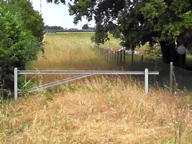 Terreno in vendita a Ravenna, Reggio Emilia