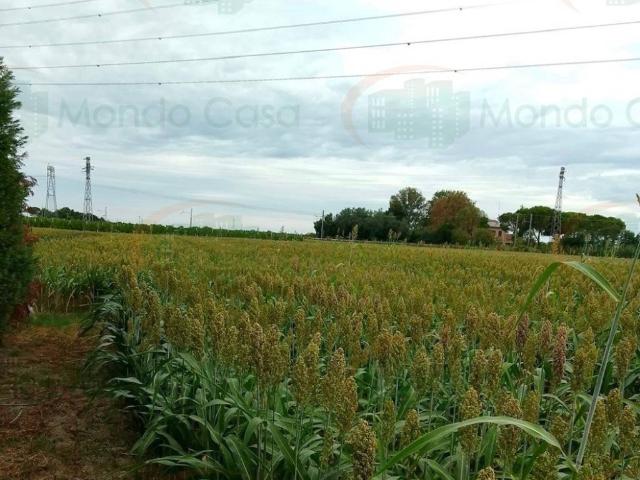 Terreno in vendita a Ravenna, Reggio Emilia