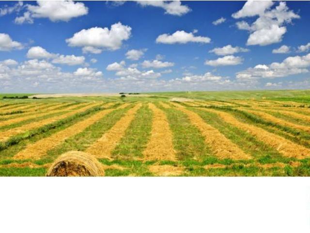 Terreno in vendita a San Pietro in Campiano, Ravenna