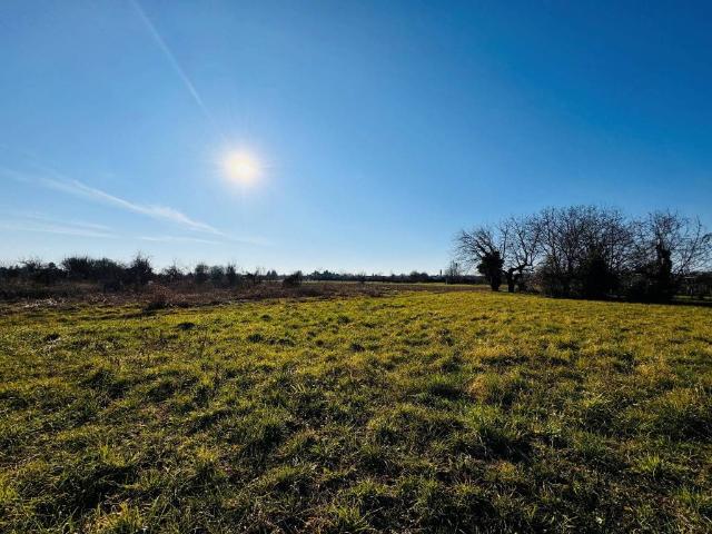 Terreno in vendita a Reana del Rojale / Reane dal Roiâl, Friuli-Venezia Giulia