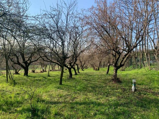 Terreno in vendita a Piemonte, Torino