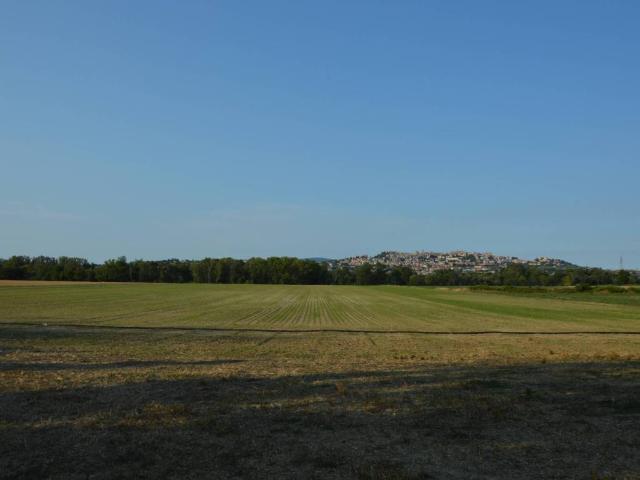 Terreno in vendita a Contrada Chiarino, Marche