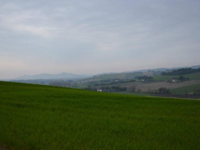 Terreno in vendita a Contrada Ricciola, Marche