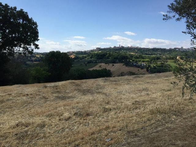 Terreno in vendita a Frazione Montefiore, Marche